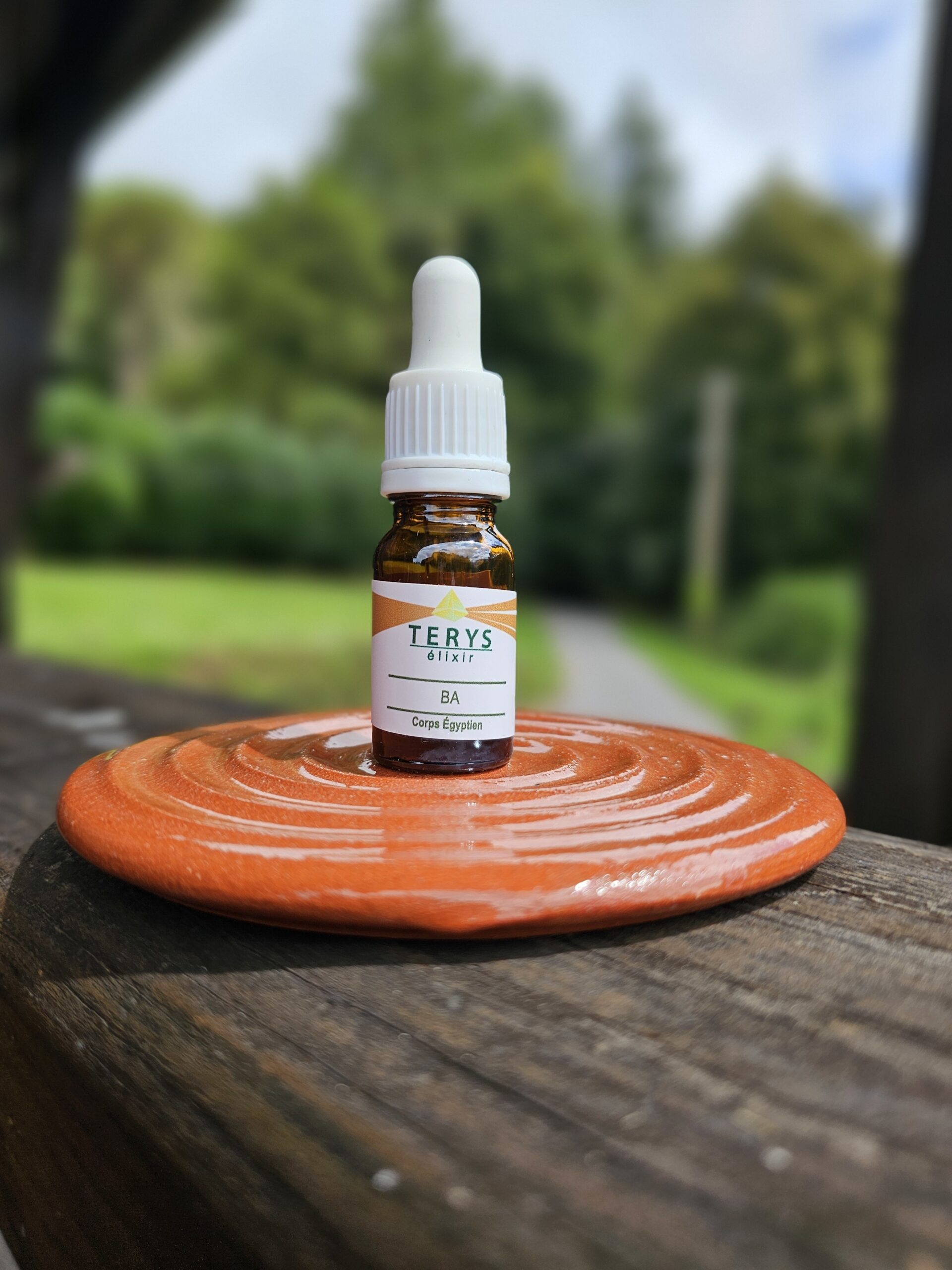 Elixir BA - Corps Égyptiens
